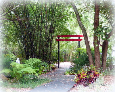 Renting The Botanical Gardens For Your Events Nature Coast